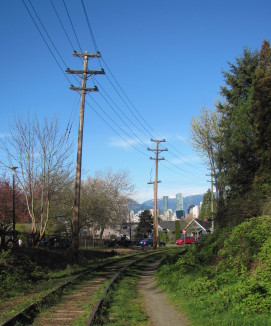 Arbutus corridor