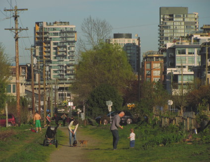 Kitsilano garden