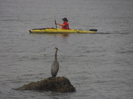 Tower Beach kayak