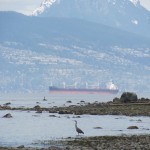 Point Grey beach