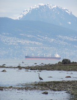 Point Grey beach