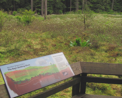 Signage around the bog provide lessons in bog history and management.