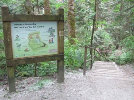 Camosun Bog entrance