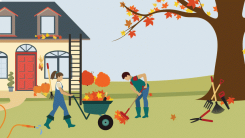 raking yard leaves